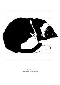 2007_Sleeping Cat_72_CR.jpg